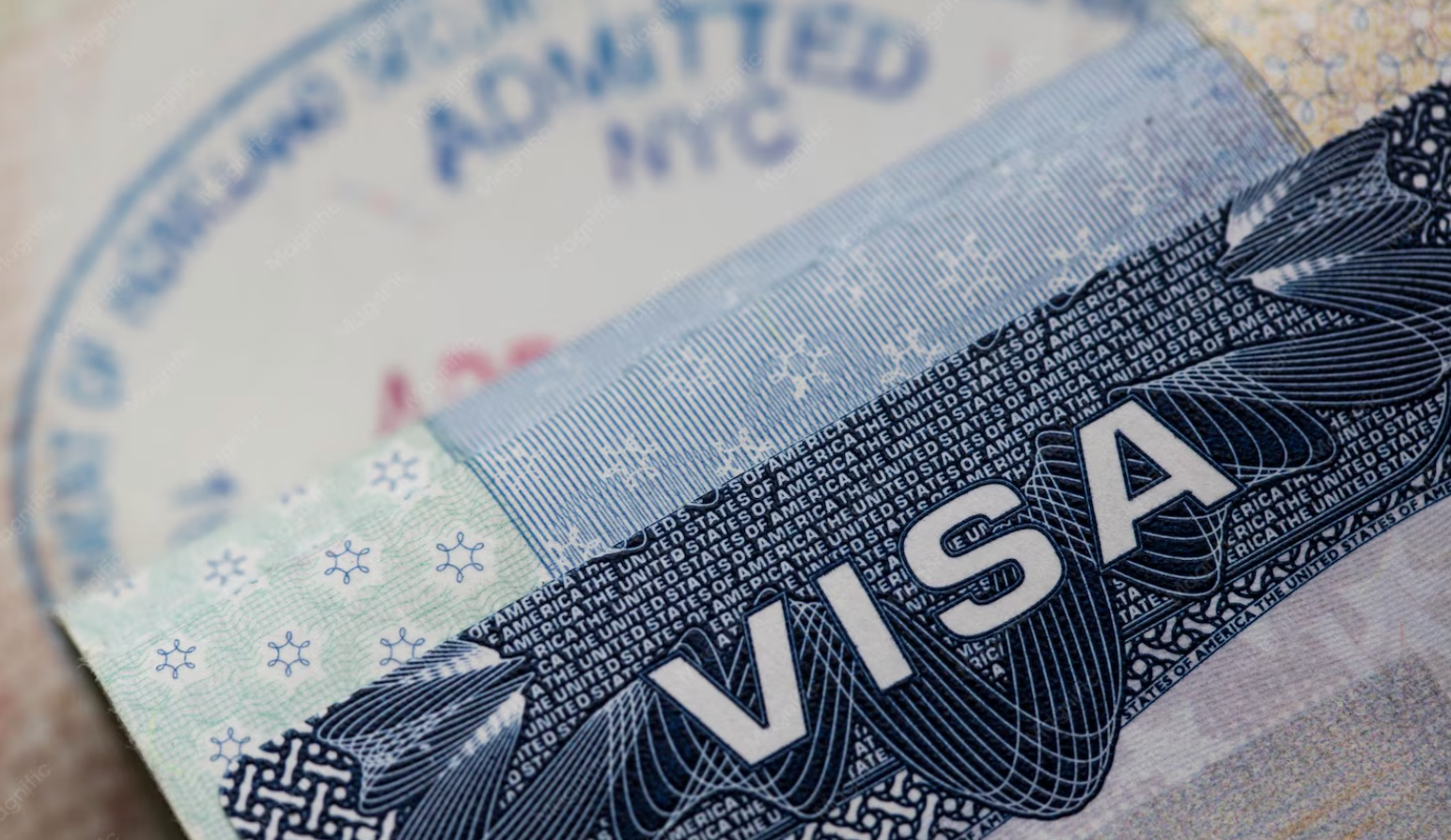 Visa