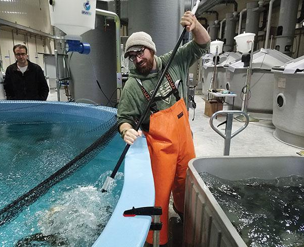 Aquaculture Technician
